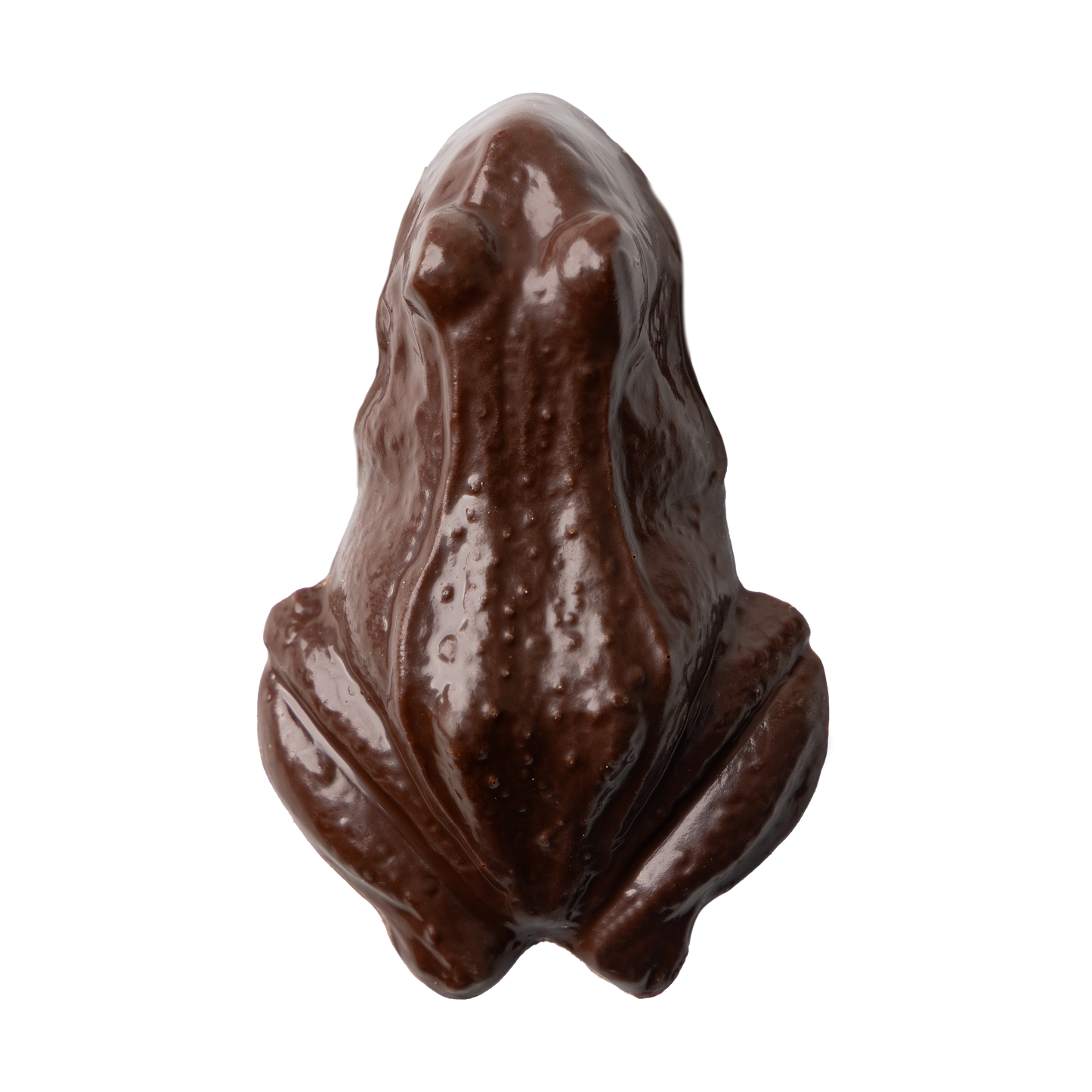 Passover Chocolate Frogs Gift Box