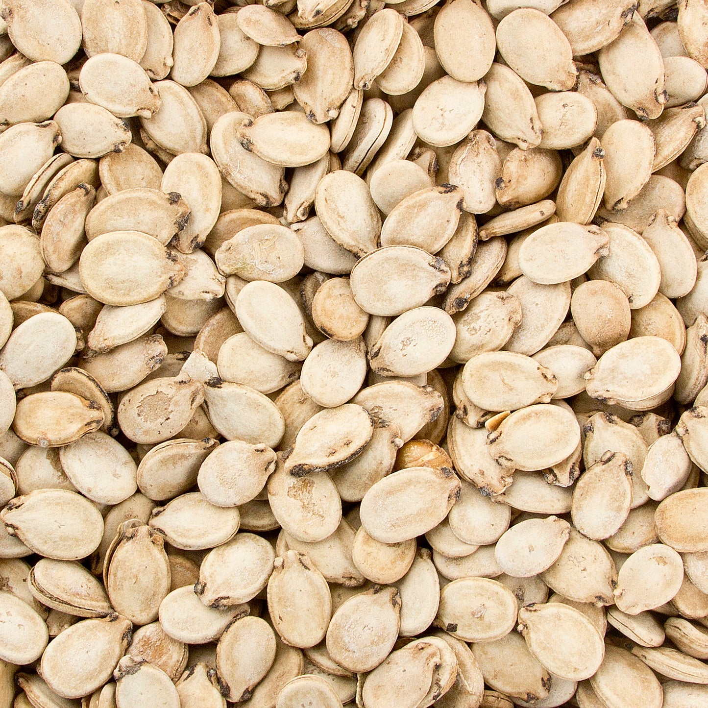 Roasted Salted Israeli Watermelon Seeds 