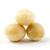 Passover Roasted Salted Macadamia Nuts