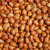 Roasted Salted Soy Nuts