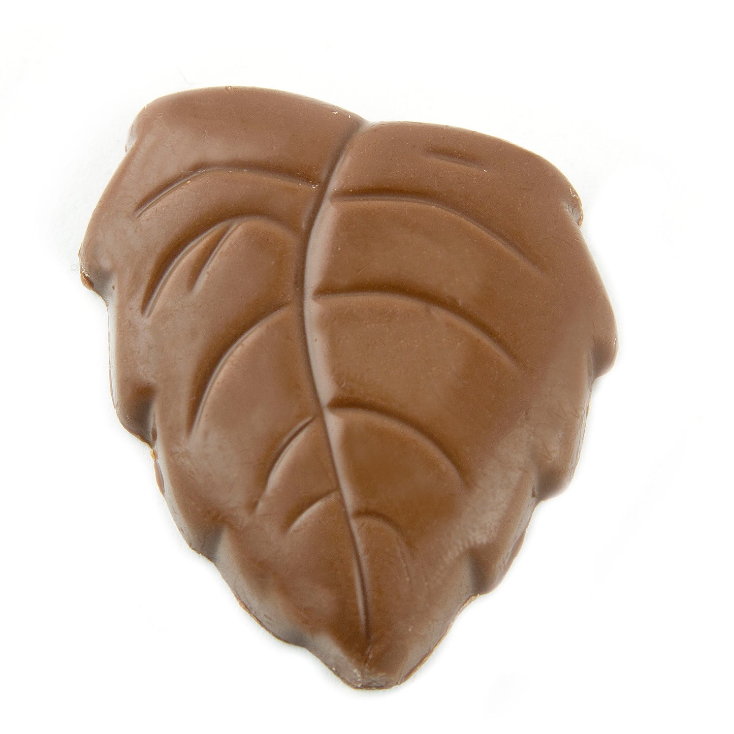 Milk Chocolate Autumn Leaves