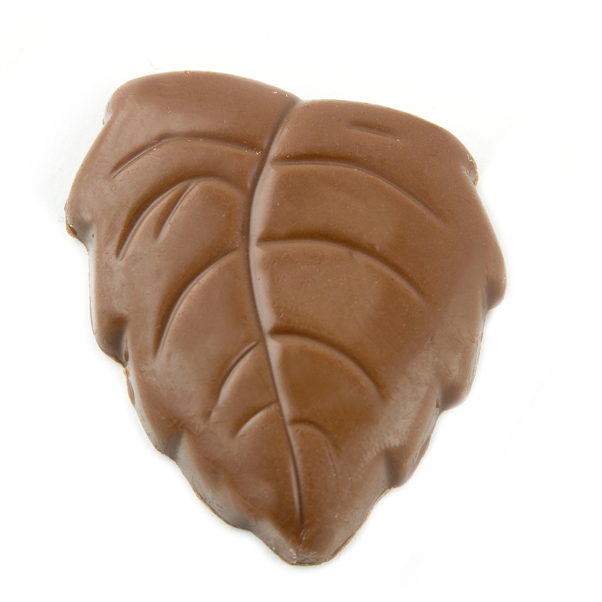 Milk Chocolate Autumn Leaves