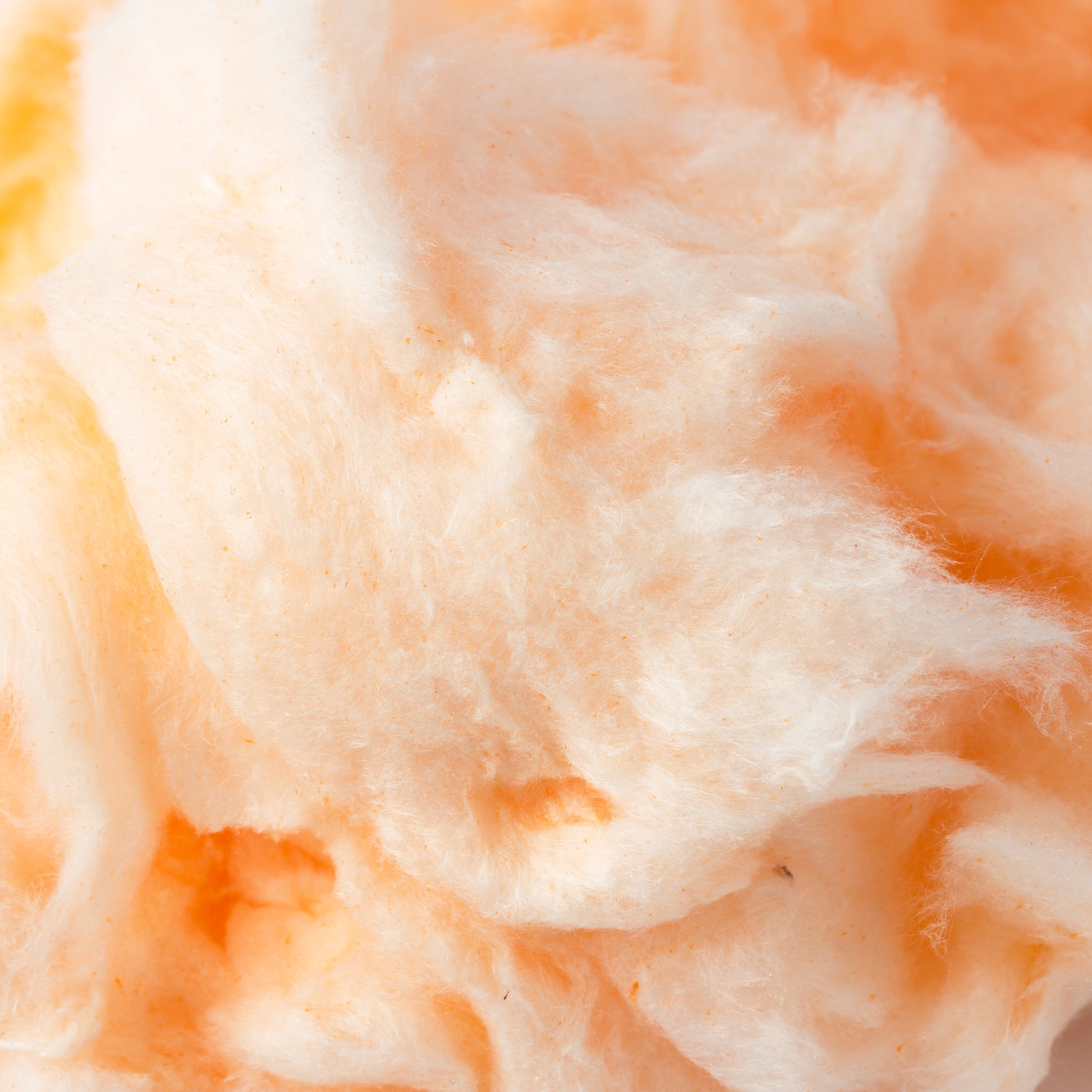 Orange Cotton Candy - Orange
