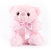Baby Pink Teddy Bear
