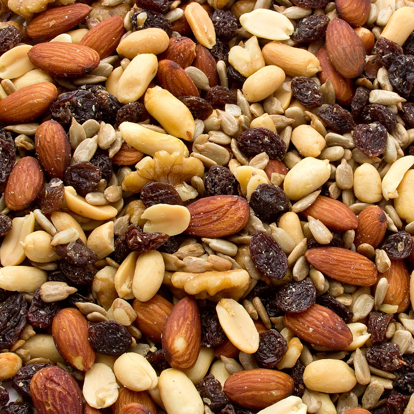 Raisin Nut Trail Mix - Unsalted