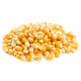 Mushroom Popcorn Kernel Seeds