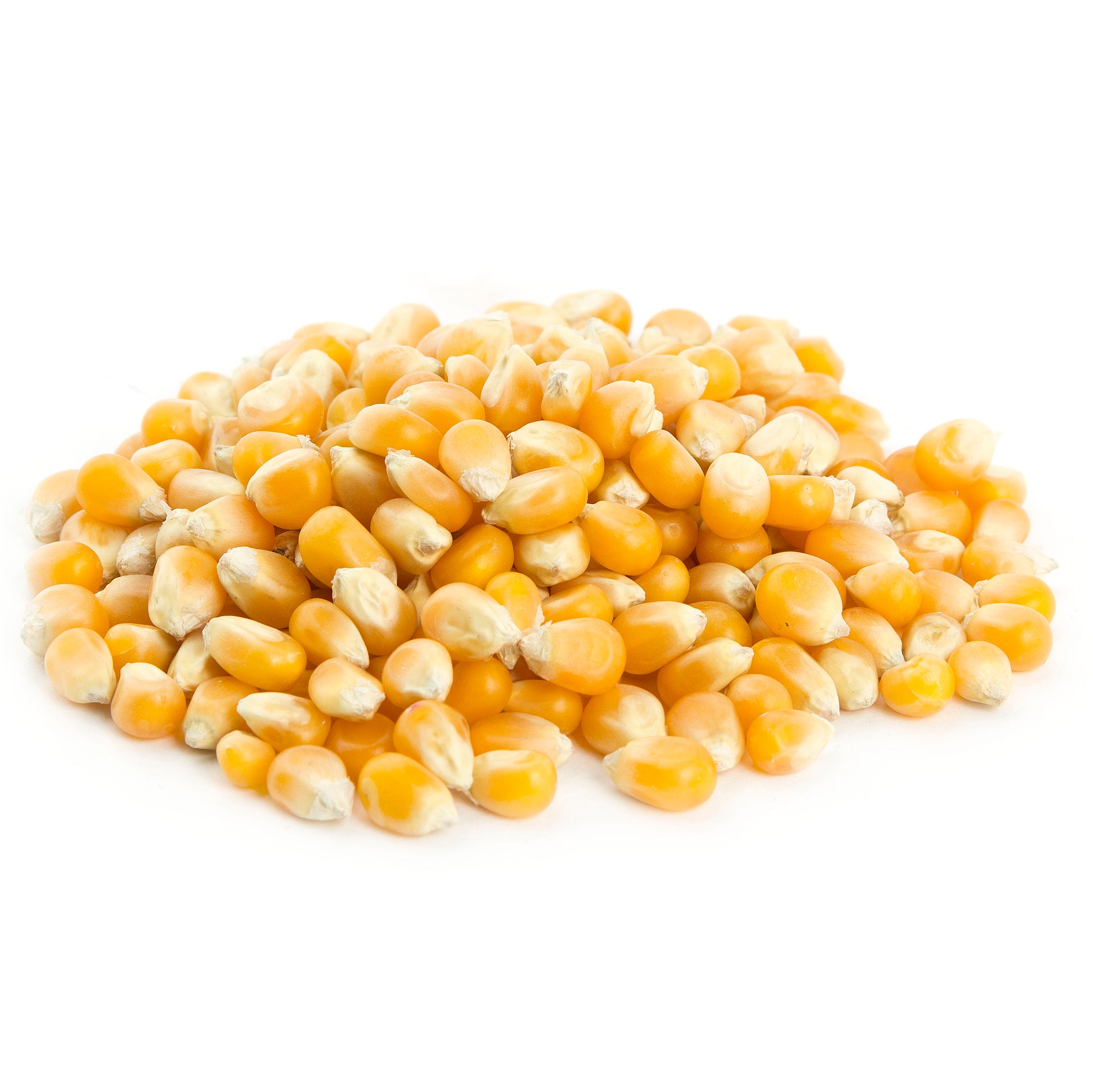 Mushroom Popcorn Kernel Seeds