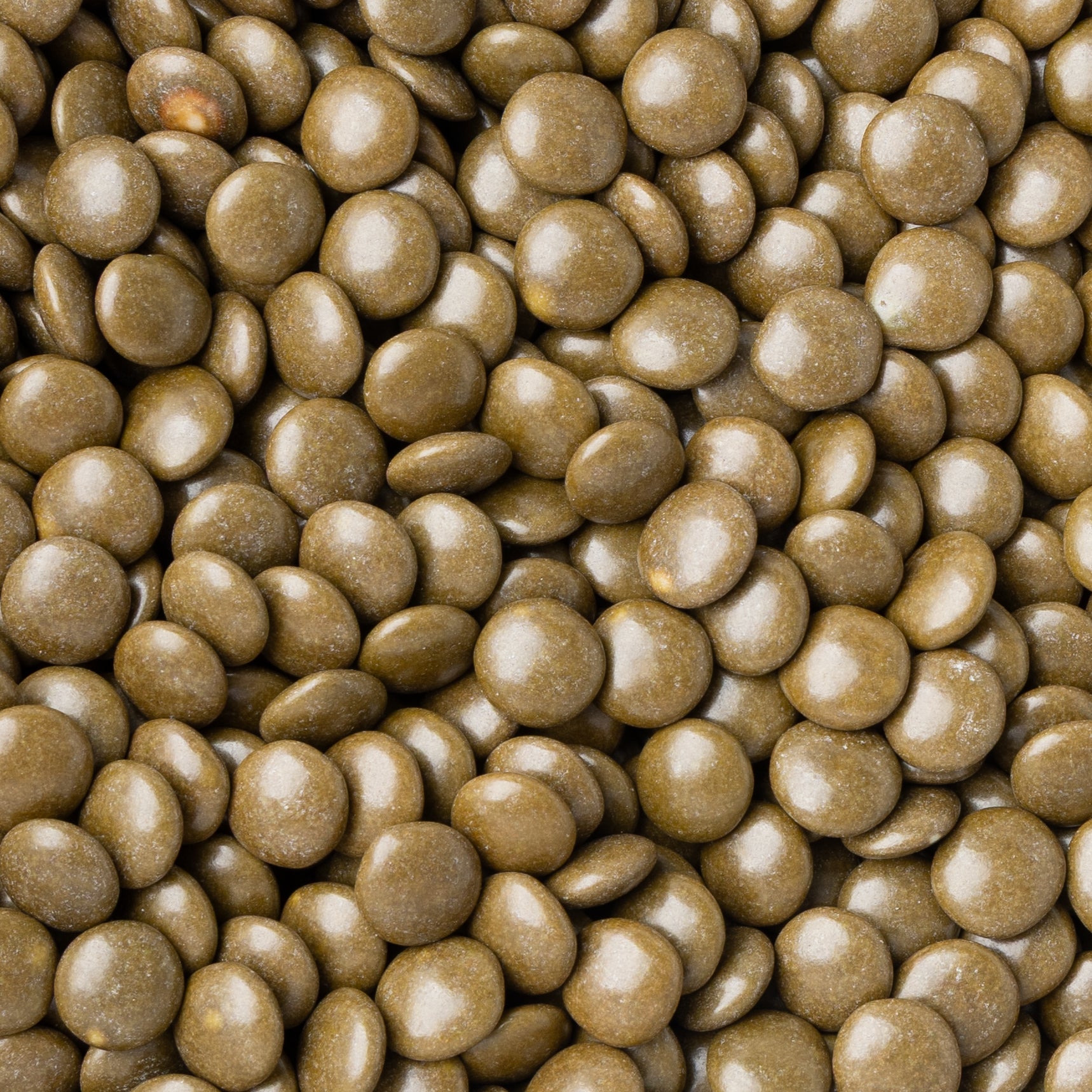 Non-Dairy Italian Mocha Chocolate Lentils