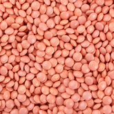 Non-Dairy Italian Pink Mini Chocolate Lentils
