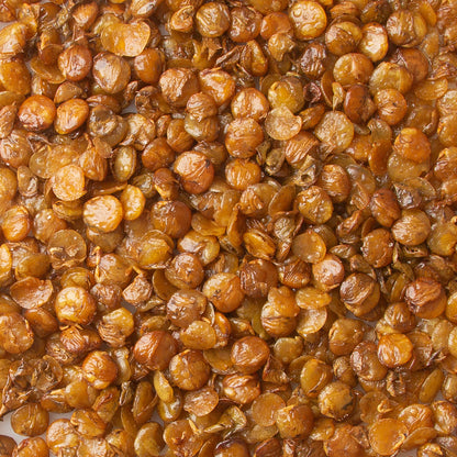 Roasted Salted Lentils