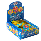 Nut-Free Milk Chocolate Gelt W' Reusable Stickers