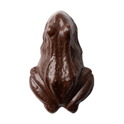 Passover Chocolate Frogs Gift Box